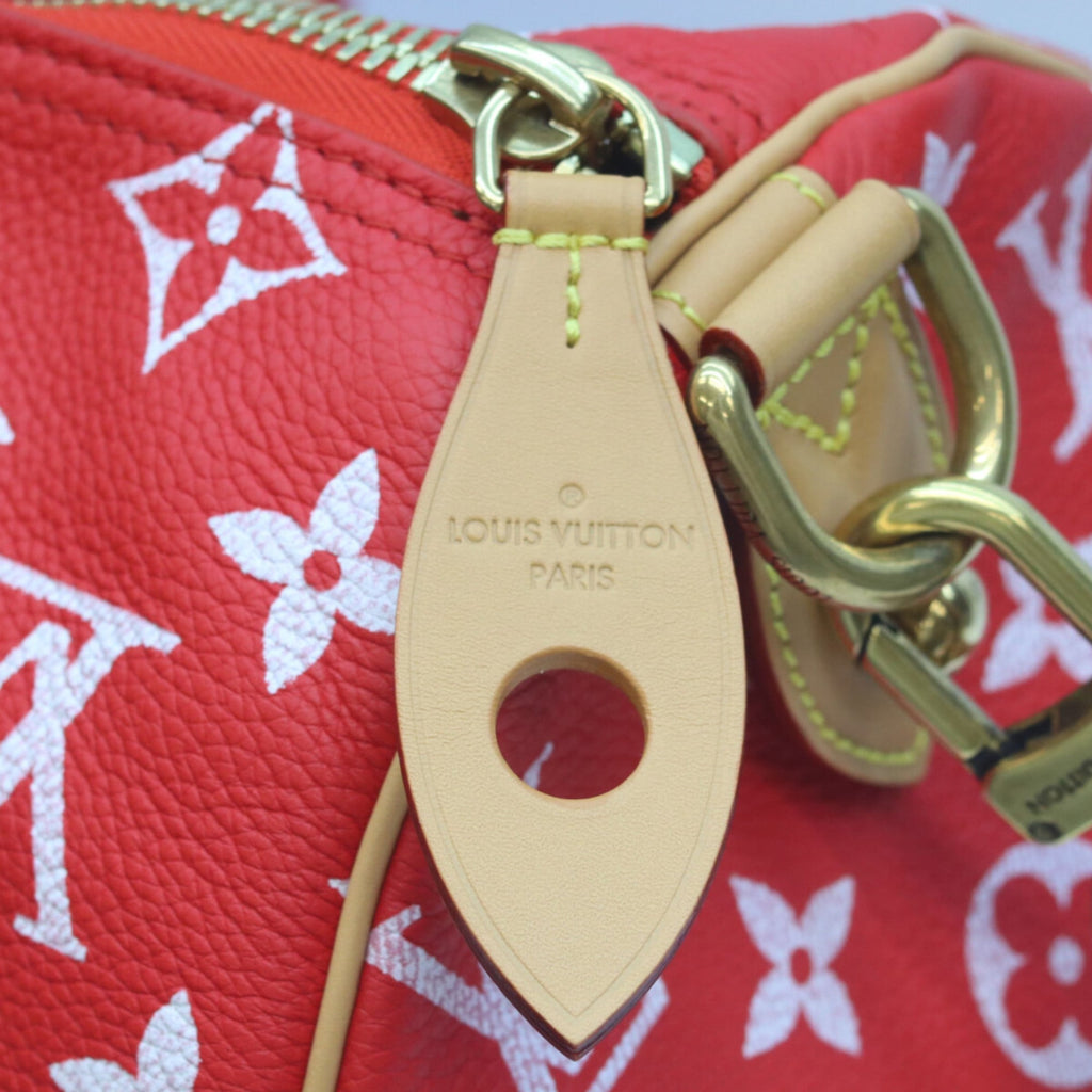 Louis Vuitton Red Color Rouge Leather Boston Bag
