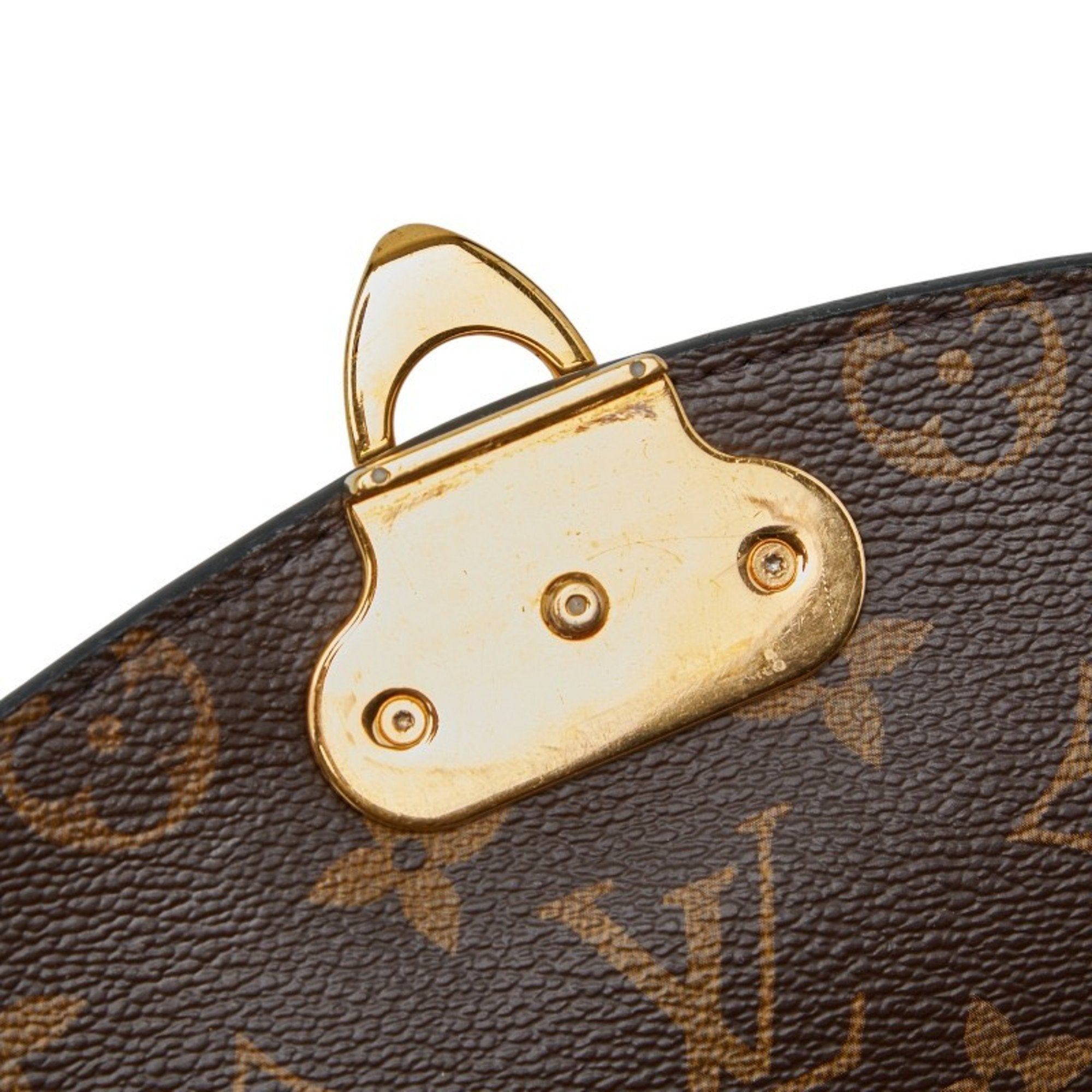 Louis Vuitton Brown Cerise Red Color Pvc Leather Shoulder Bag
