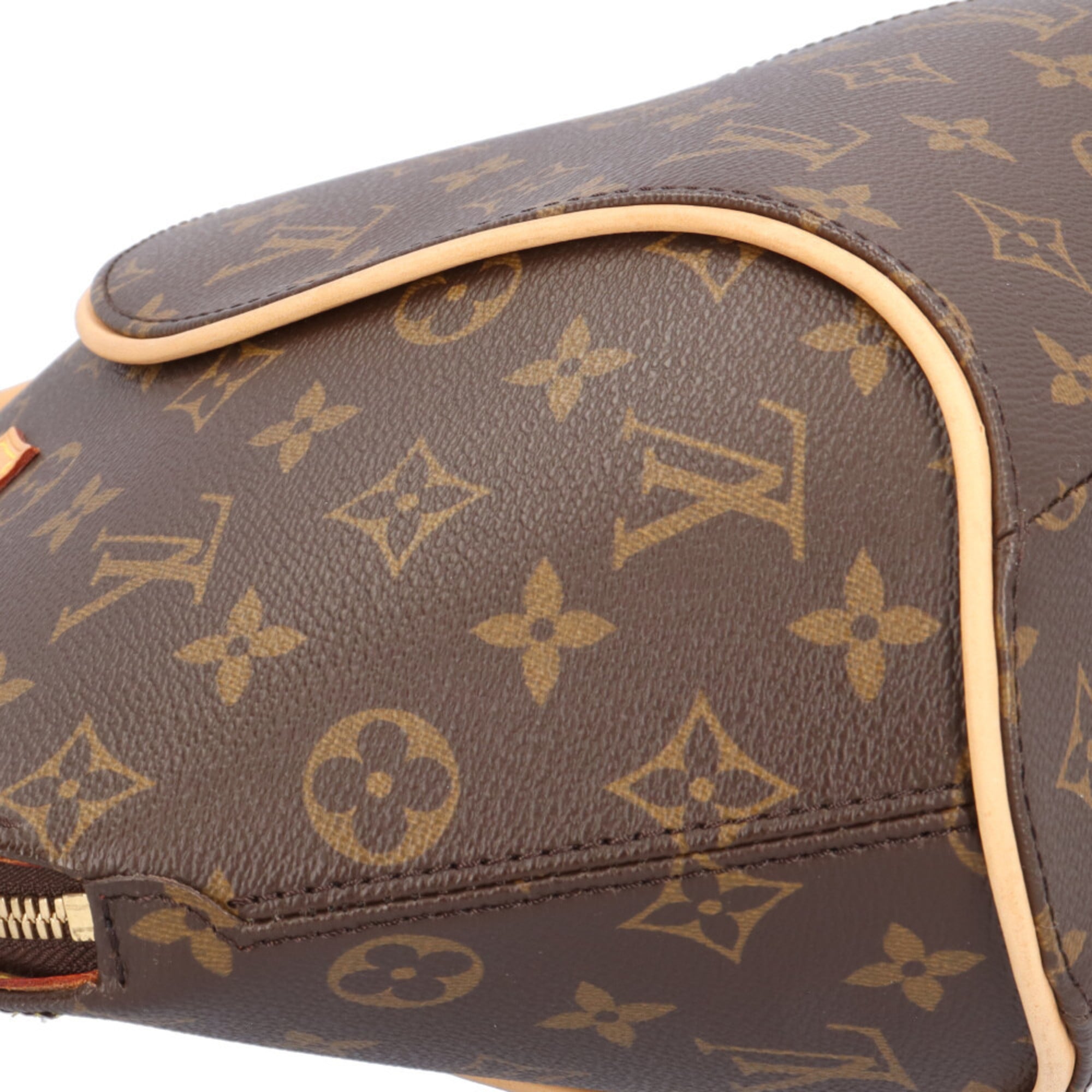 Louis Vuitton Brown Monogram Canvas Handbag