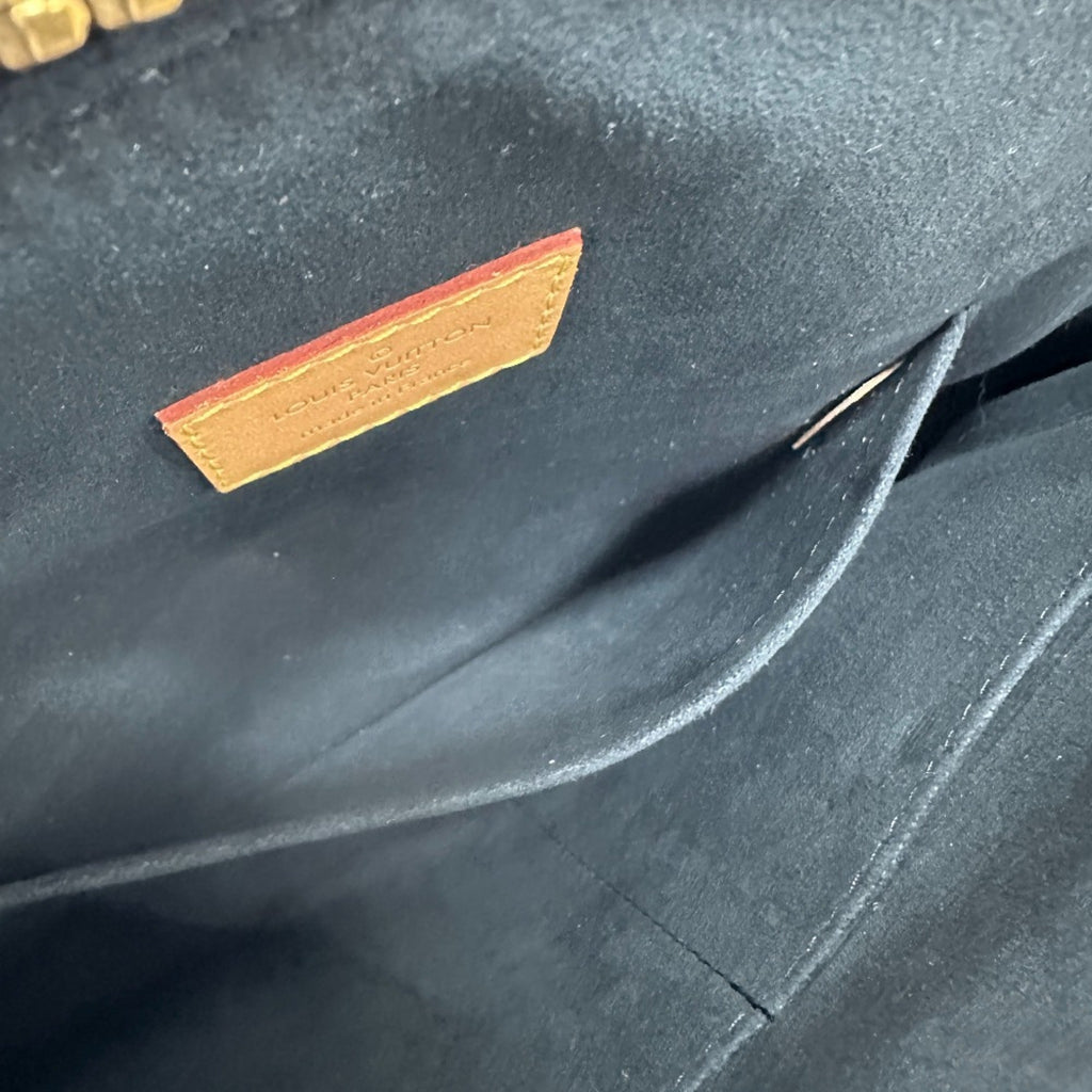 Louis Vuitton Brown Other Handbag