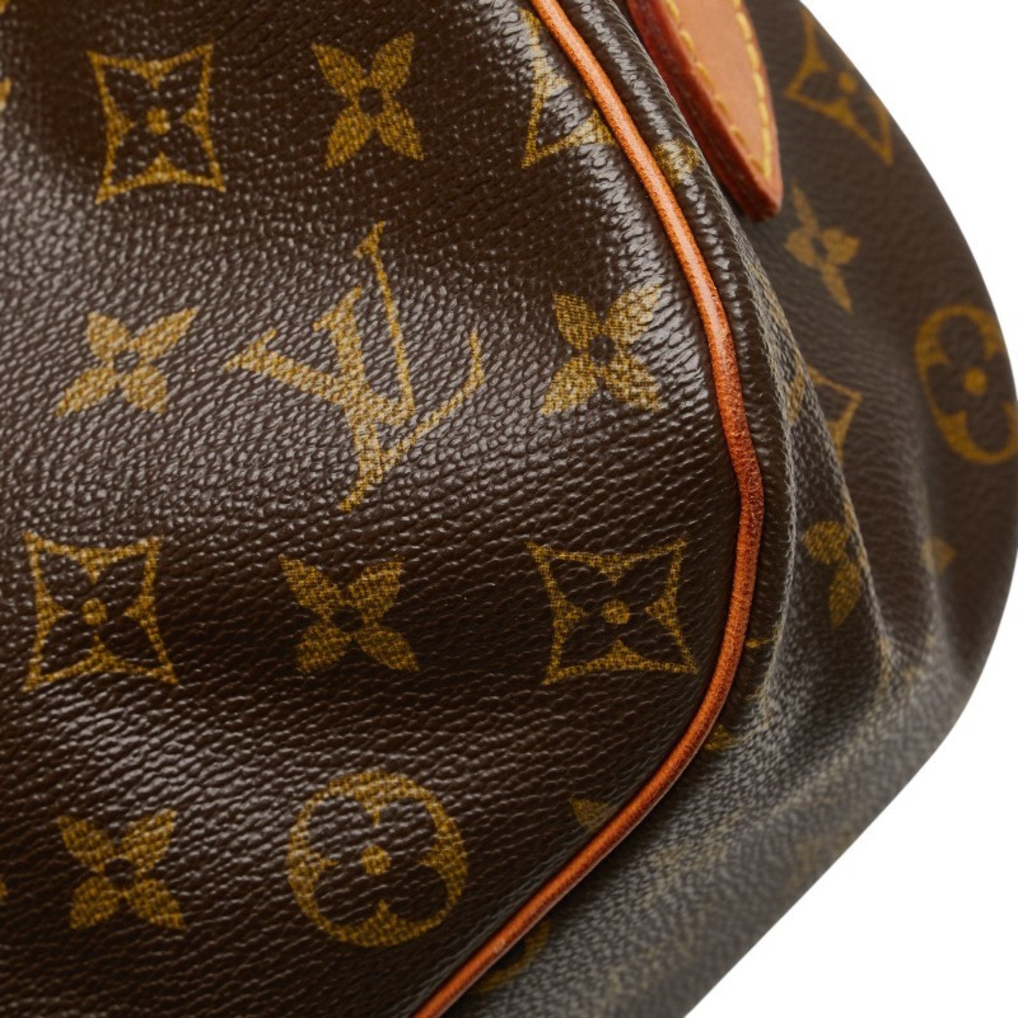 Louis Vuitton Monogram Brown Pvc Leather Shoulder Bag