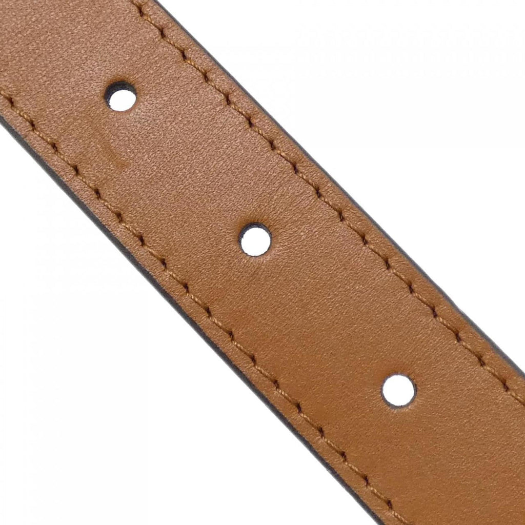 Louis Vuitton Marron Coated Canvas Fanny Pack