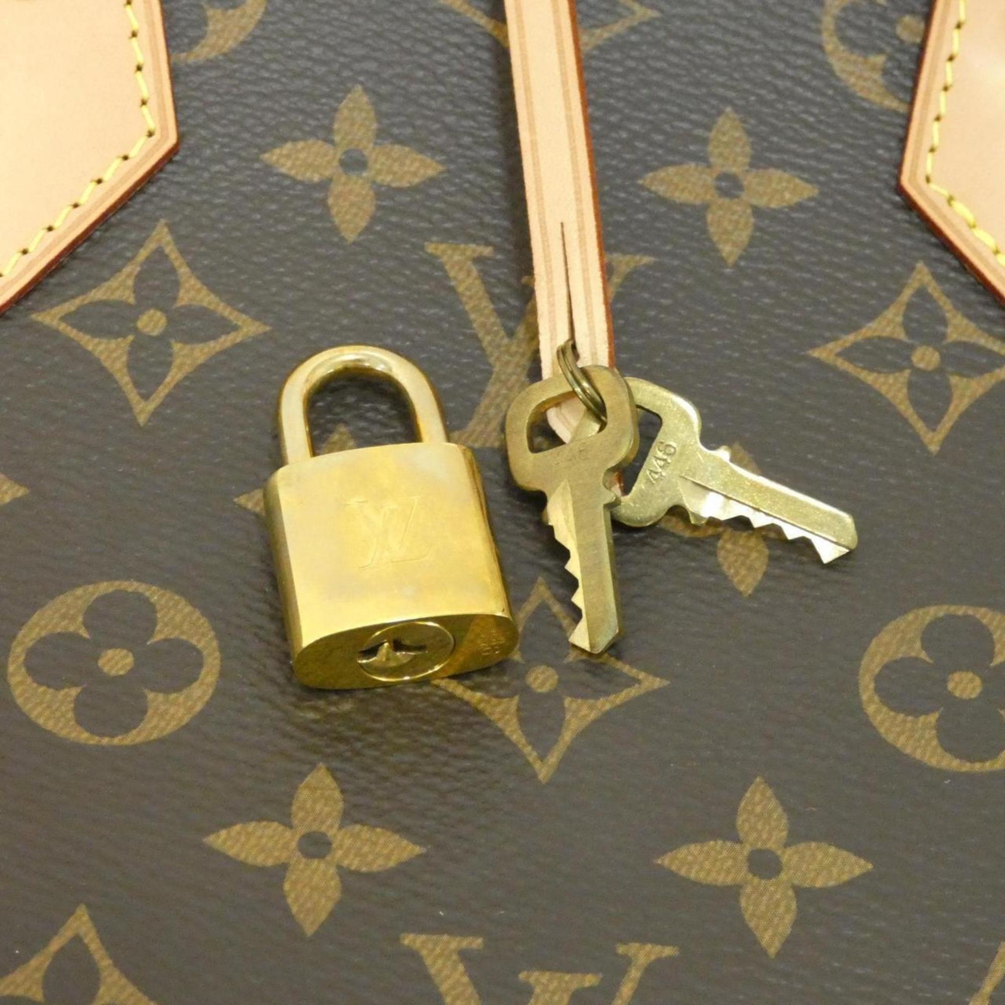 Louis Vuitton Marron Coated Canvas Handbag