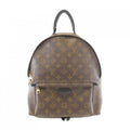 Louis Vuitton Marron Coated Canvas Backpack