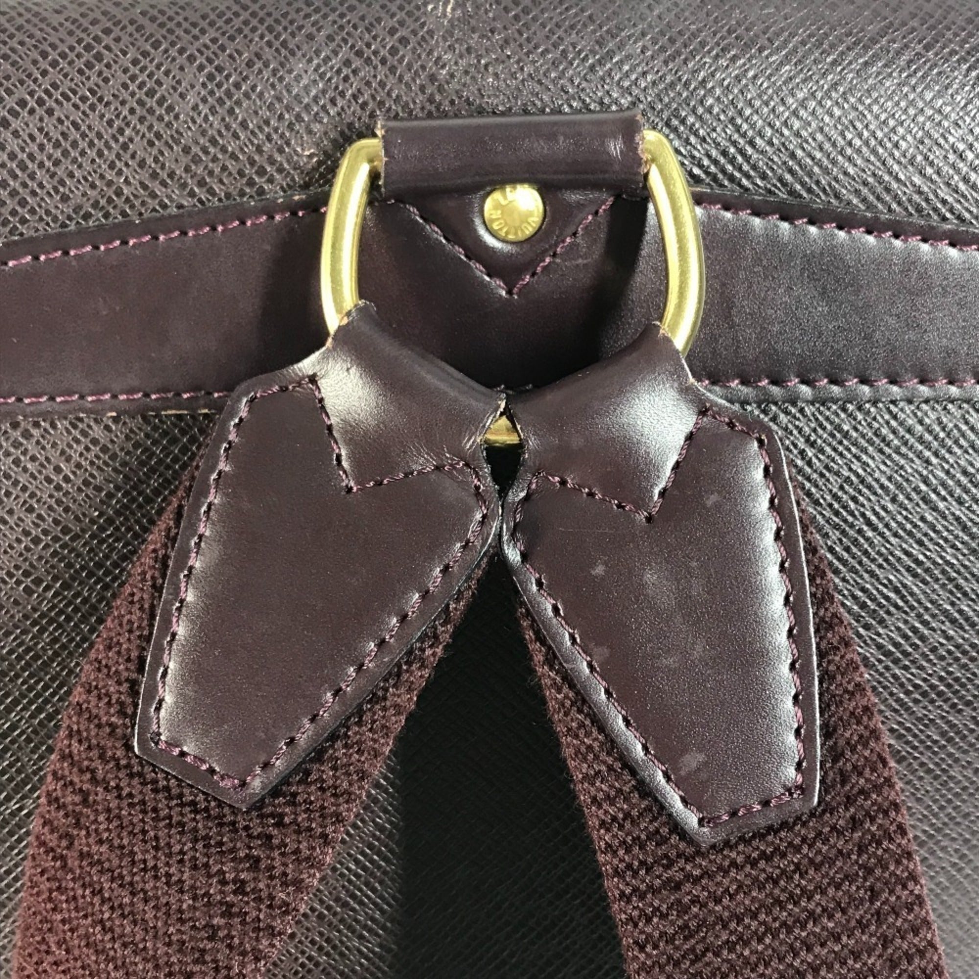 Louis Vuitton Acajou Taiga Leather Backpack