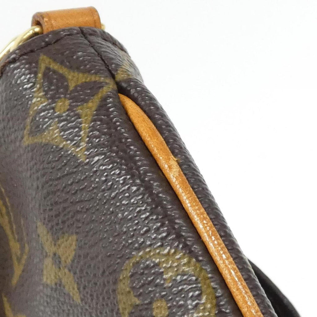 Louis Vuitton Marron Monogram Monogram Handbag