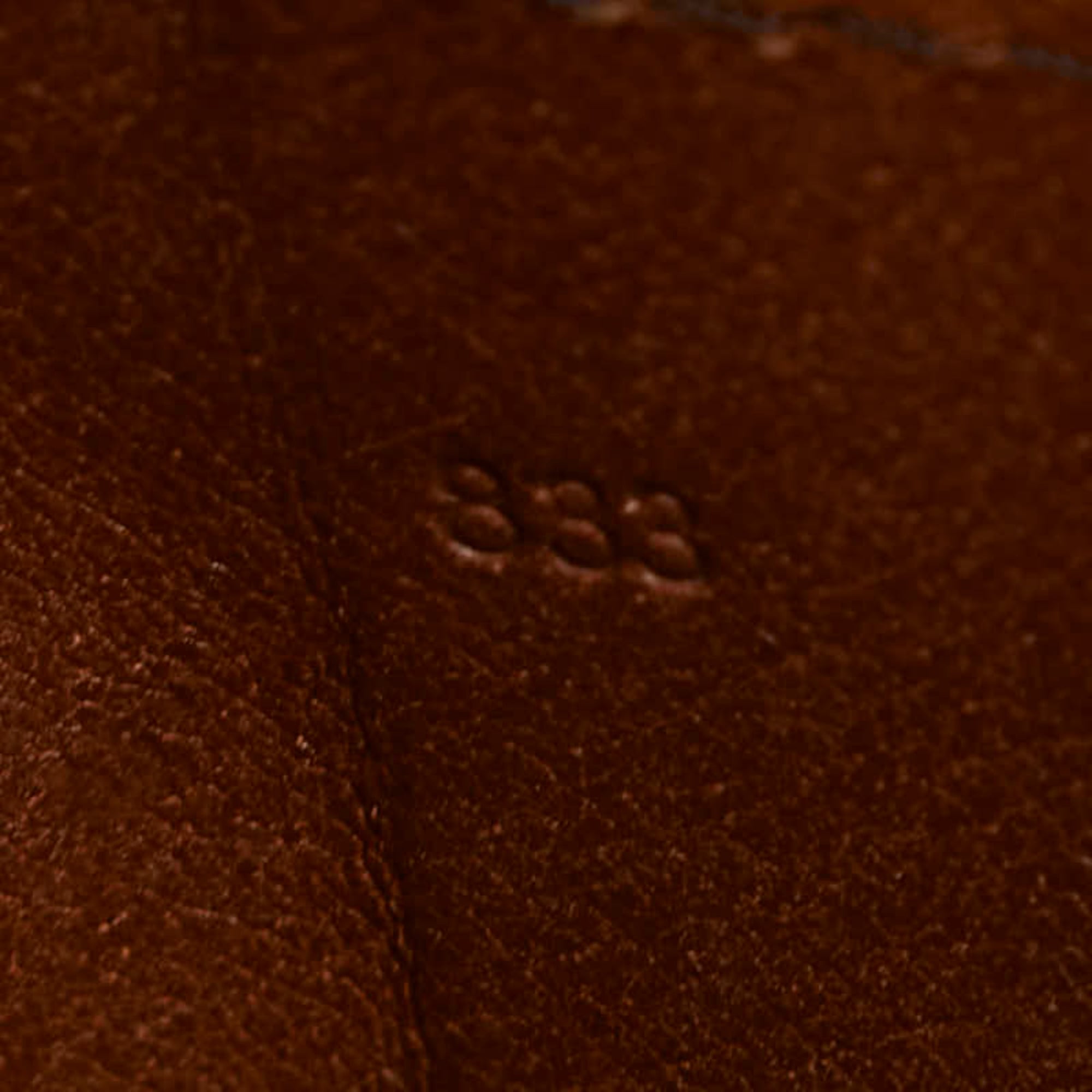 Louis Vuitton Brown Pvc Leather Shoulder Bag