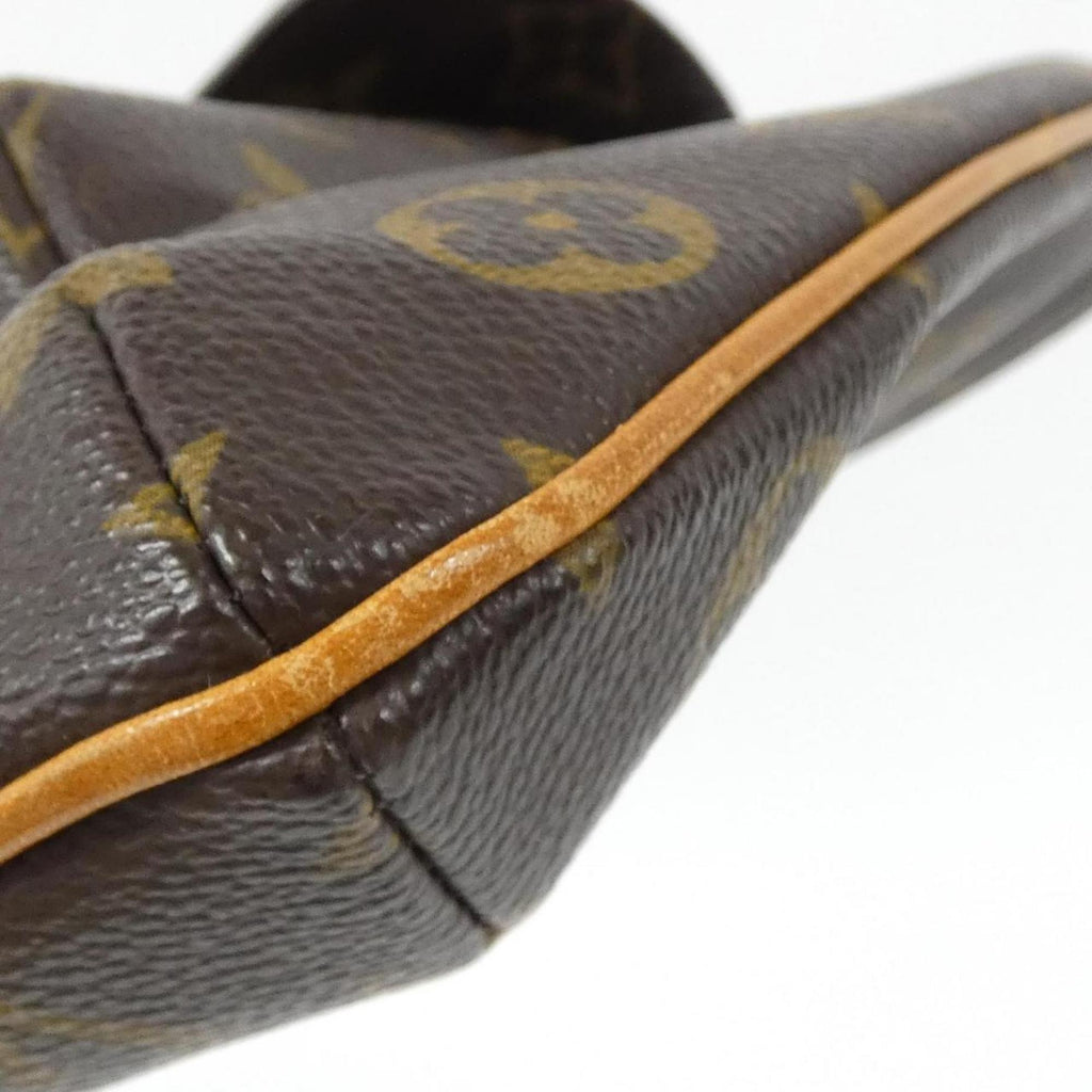 Louis Vuitton Marron Monogram Monogram Handbag