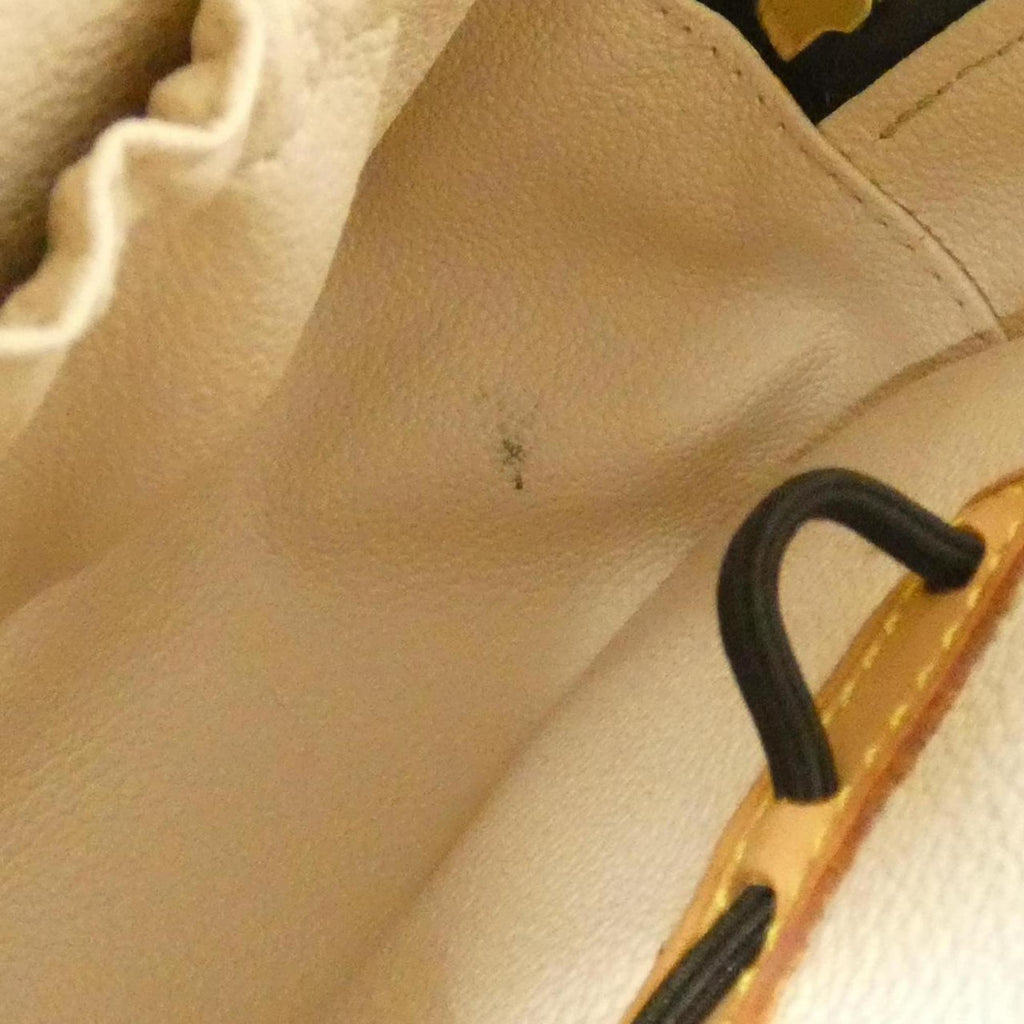 Louis Vuitton Marron Coated Canvas Handbag