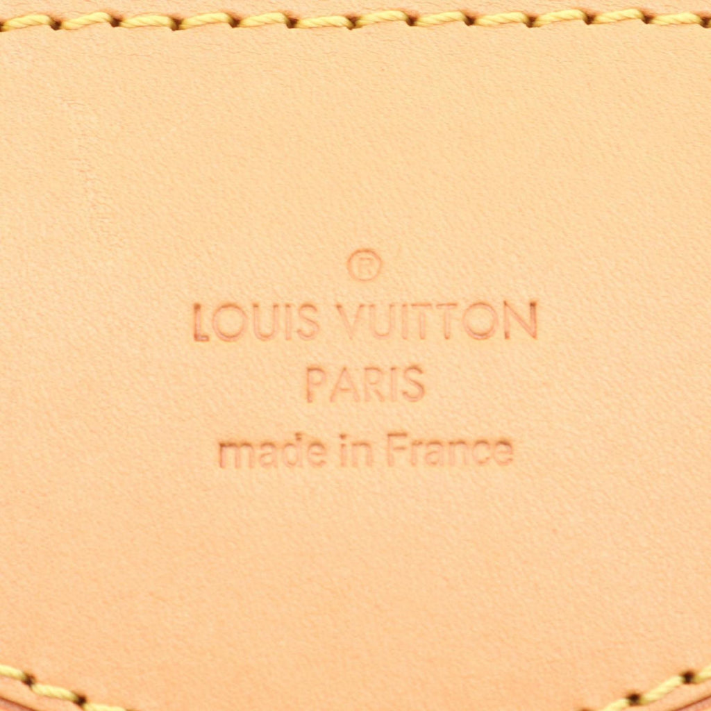 Louis Vuitton Brown Monogram Pvc Coated Canvas Leather Shoulder Bag