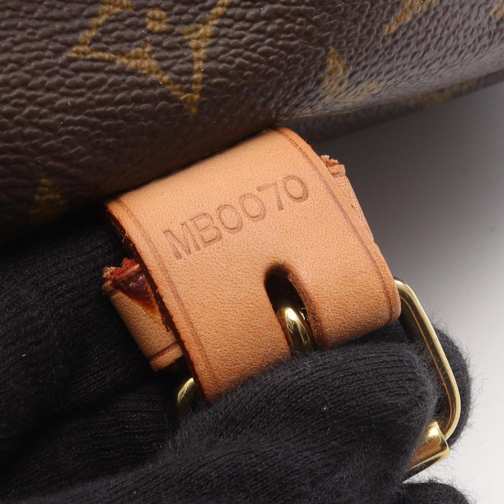 Louis Vuitton Brown Monogram Coated Canvas Pvc Leather Shoulder Bag