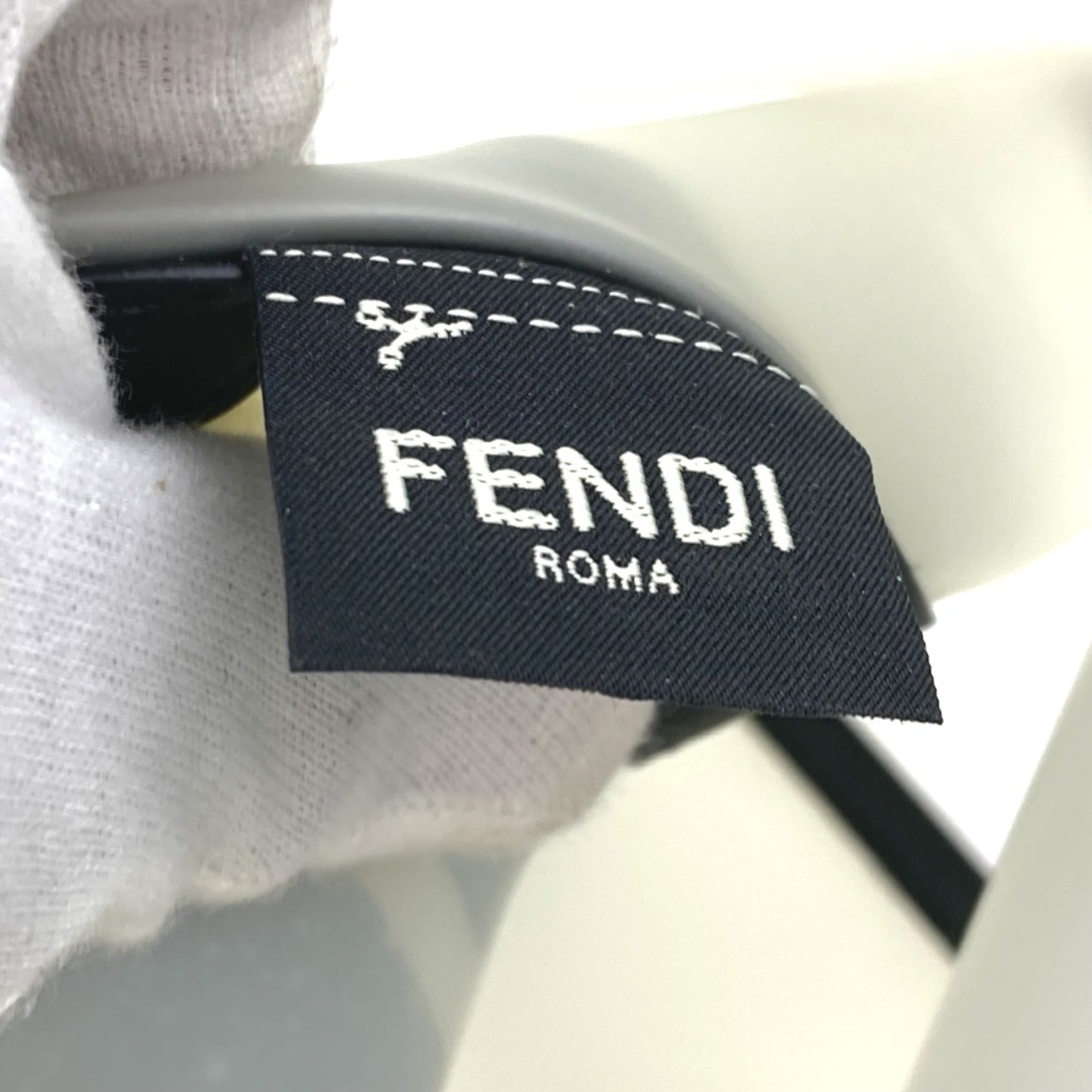 Fendi Other Other Handbag