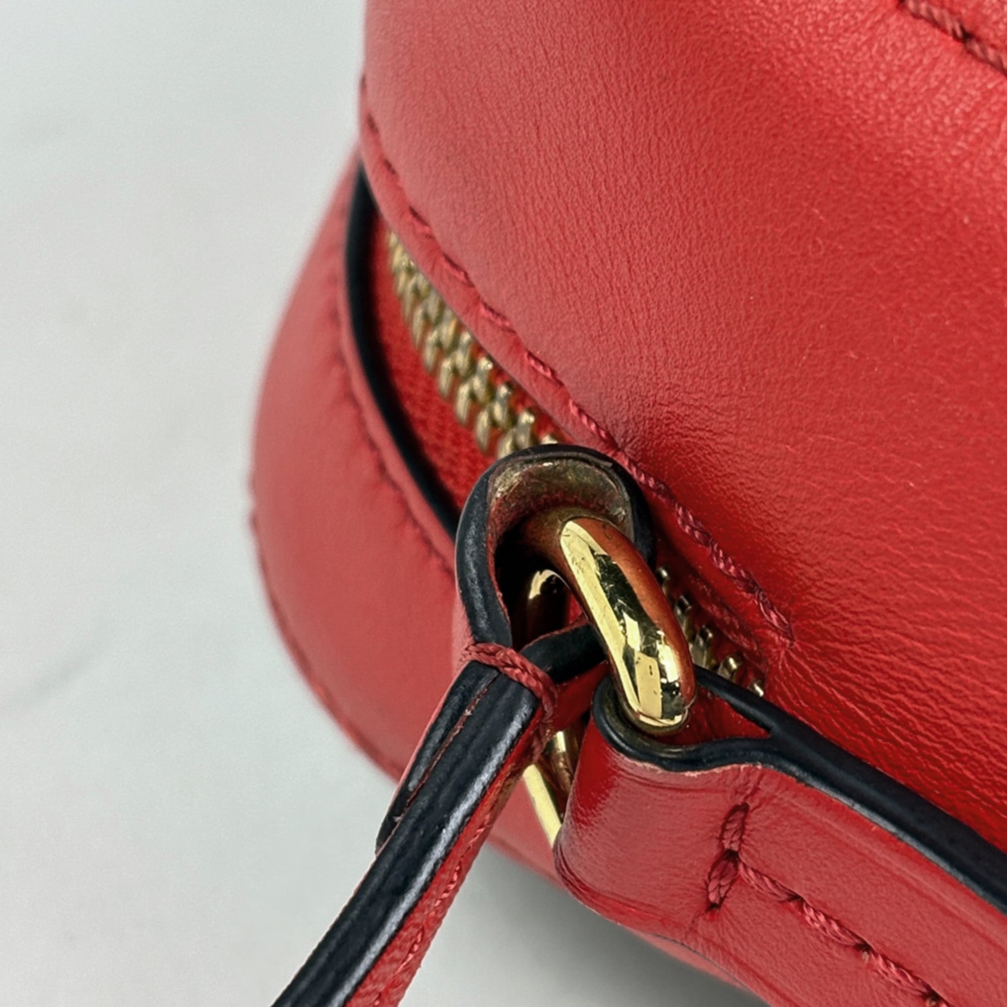 Louis Vuitton Brown Coquelicots Red Color Monogram Shoulder Bag