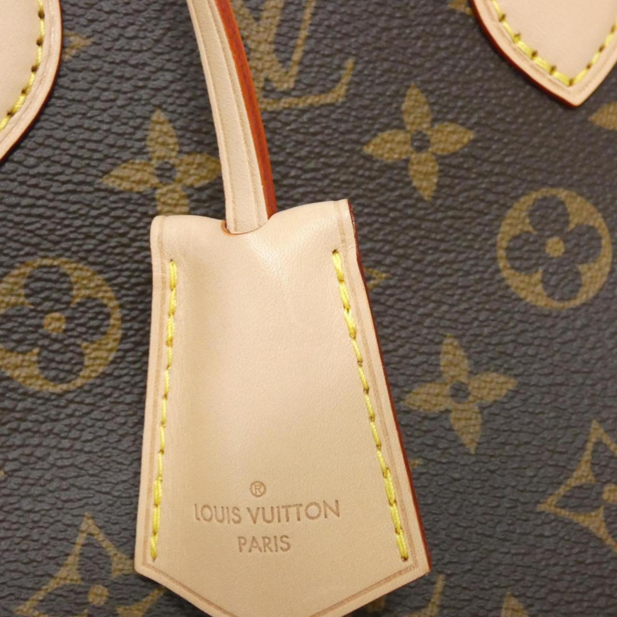 Louis Vuitton Marron Coated Canvas Handbag