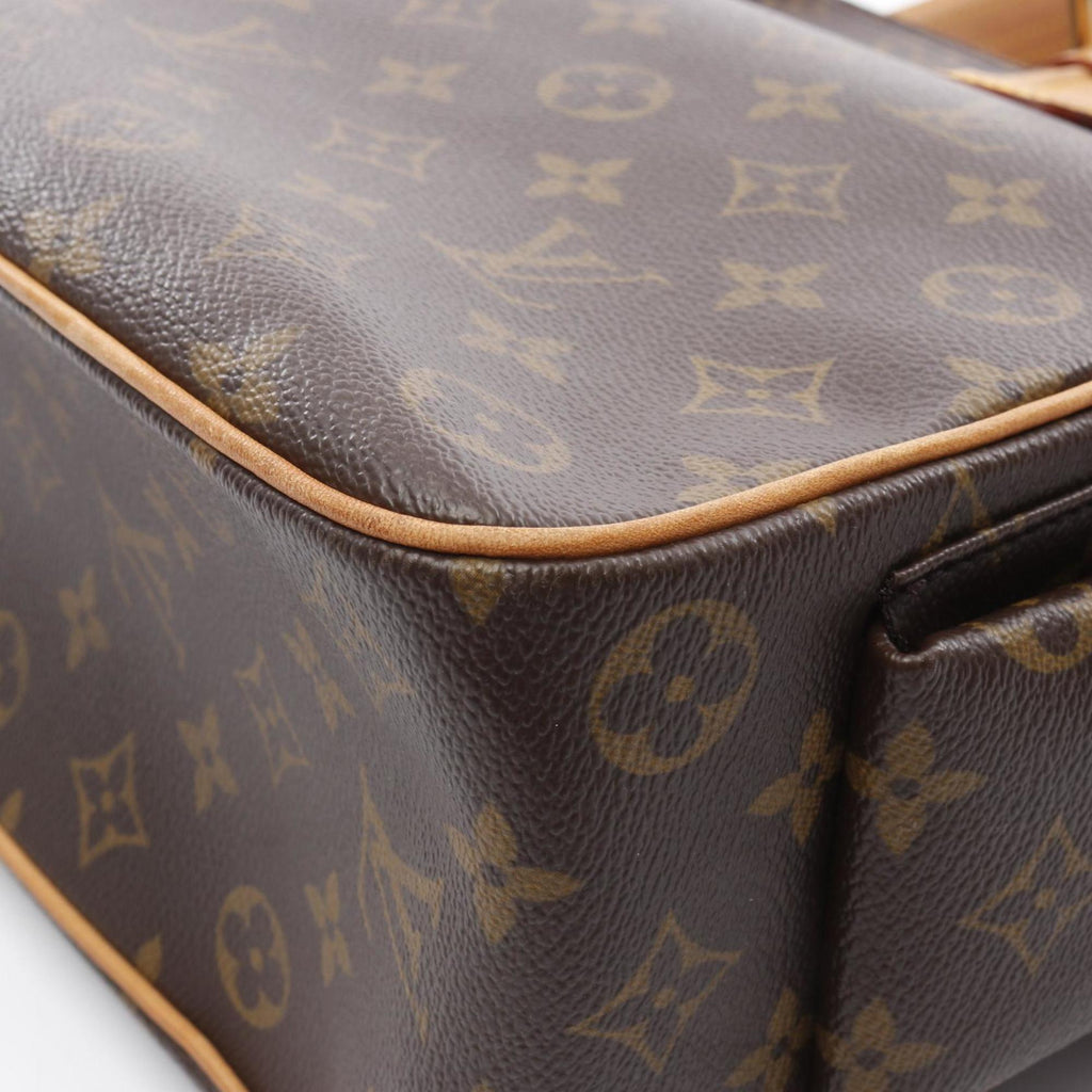 Louis Vuitton Brown Monogram Leather Handbag