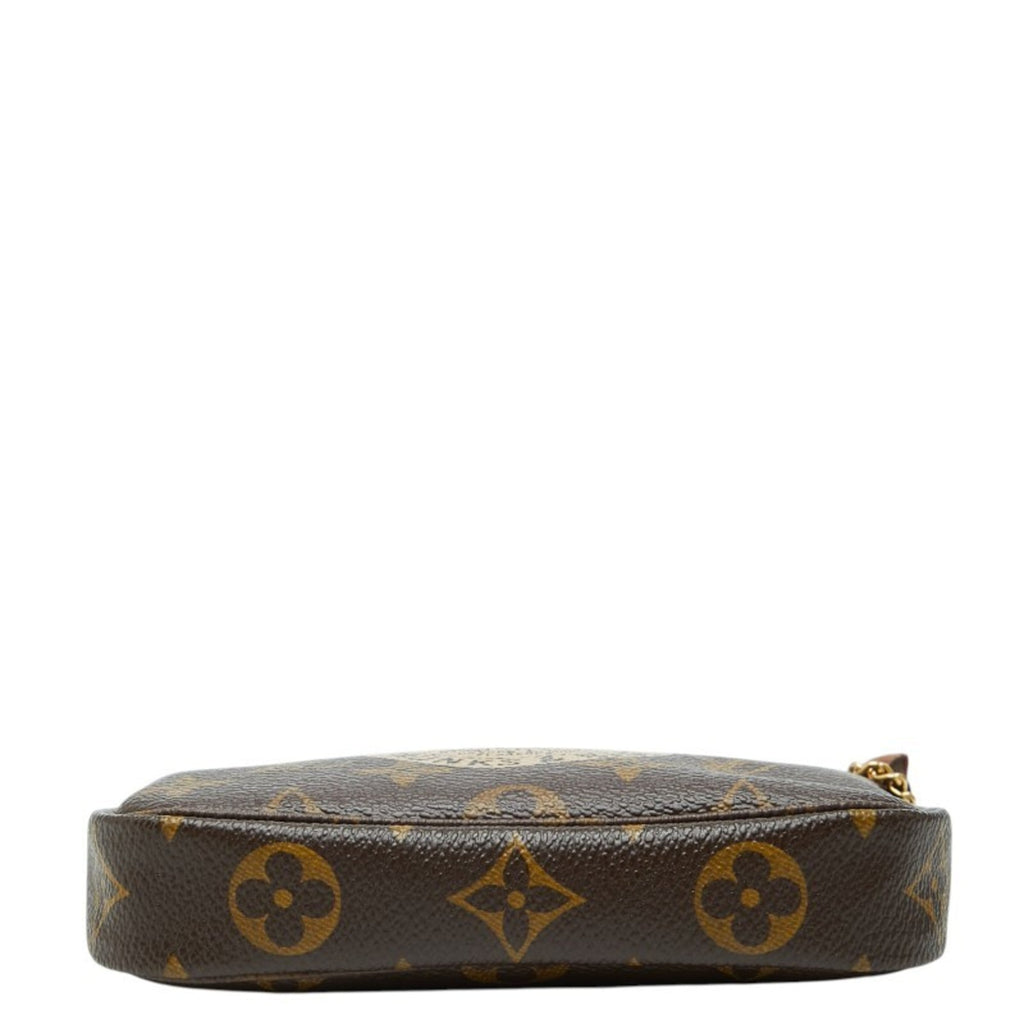 Louis Vuitton Monogram Brown Pvc Leather Handbag Pouch