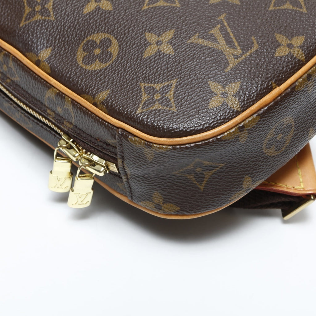 Louis Vuitton Monogram Brown Monogram Fanny Pack