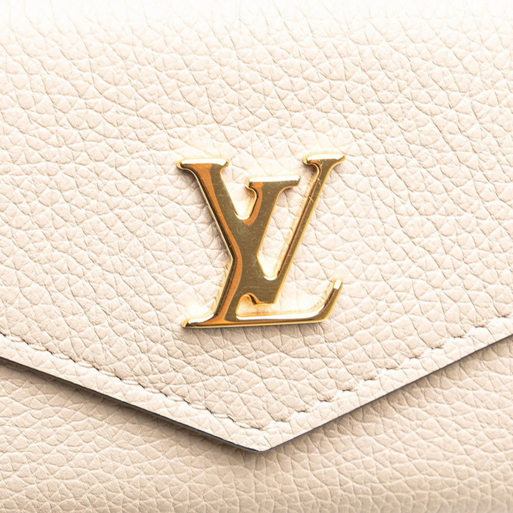 Louis Vuitton Grayish Leather Wallet (Tri-Fold)