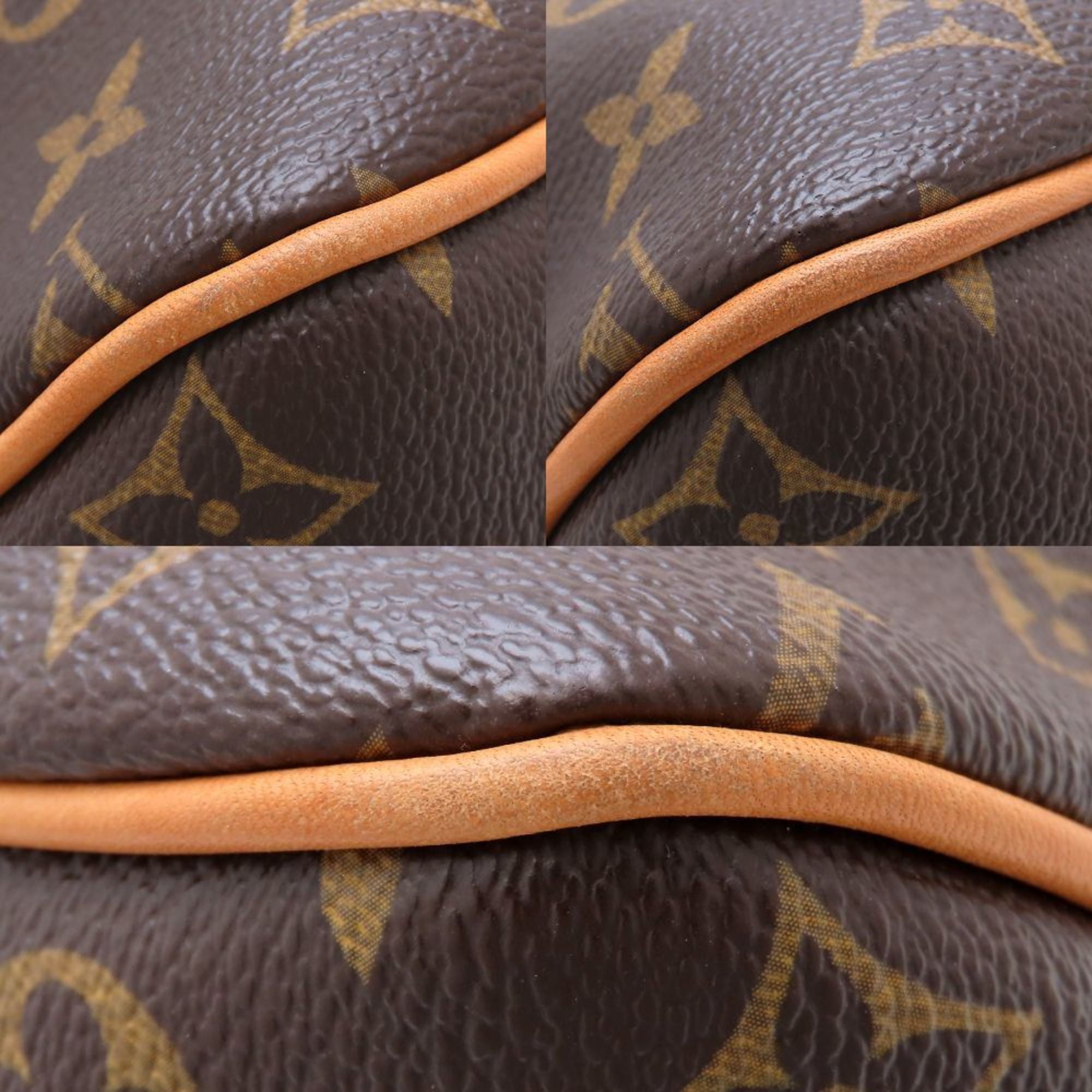 Louis Vuitton Brown Monogram Pivoine Monogram Shoulder Bag