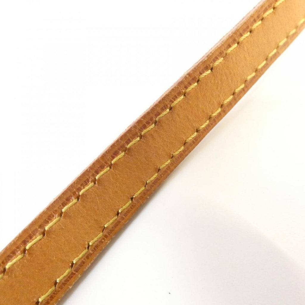Louis Vuitton Gold Pouch