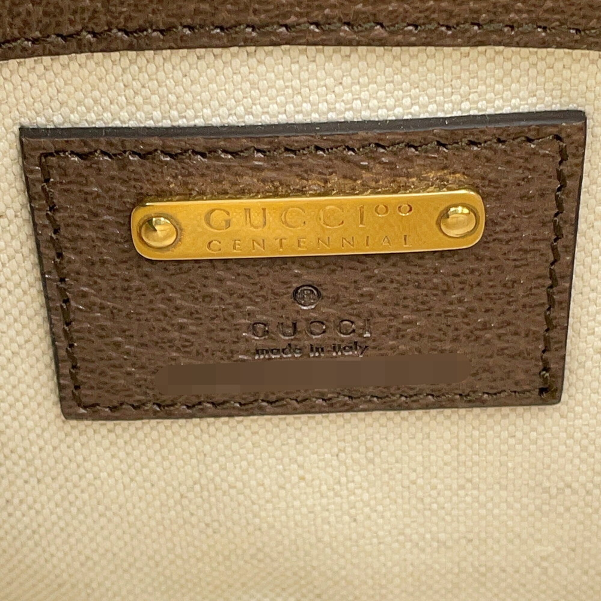 Gucci Brown Multi-Color Leather Handbag Pouch Sling Bag (Pre-Owned)
