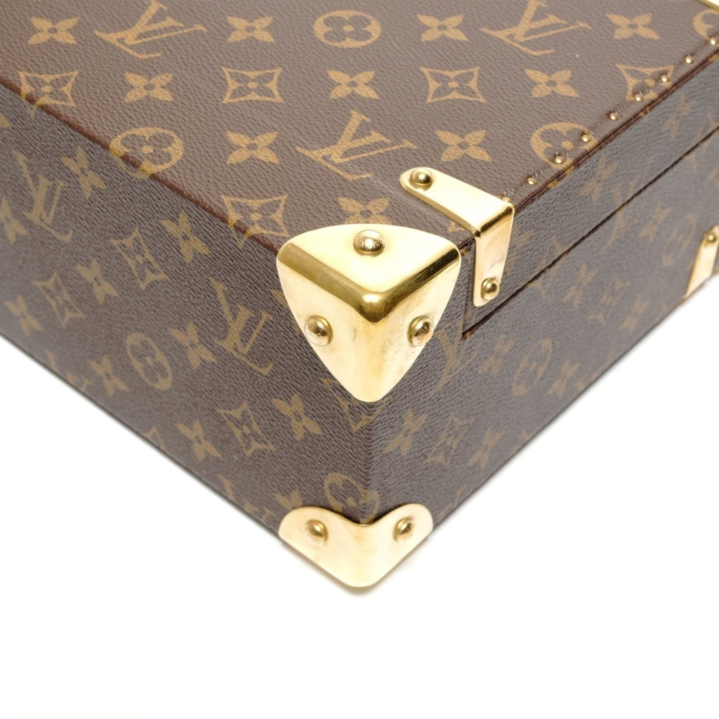 Louis Vuitton Brown Handbag