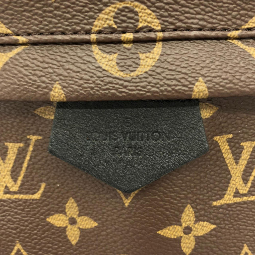 Louis Vuitton Marron Coated Canvas Backpack