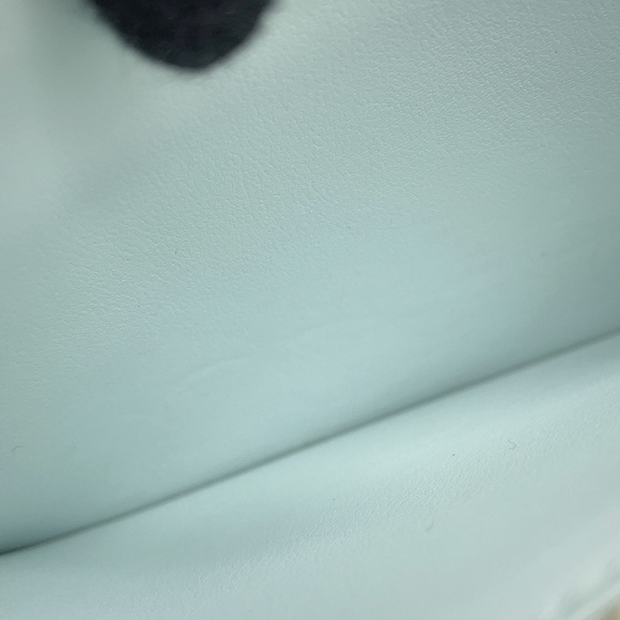 Louis Vuitton Beige Light Green Long Wallet