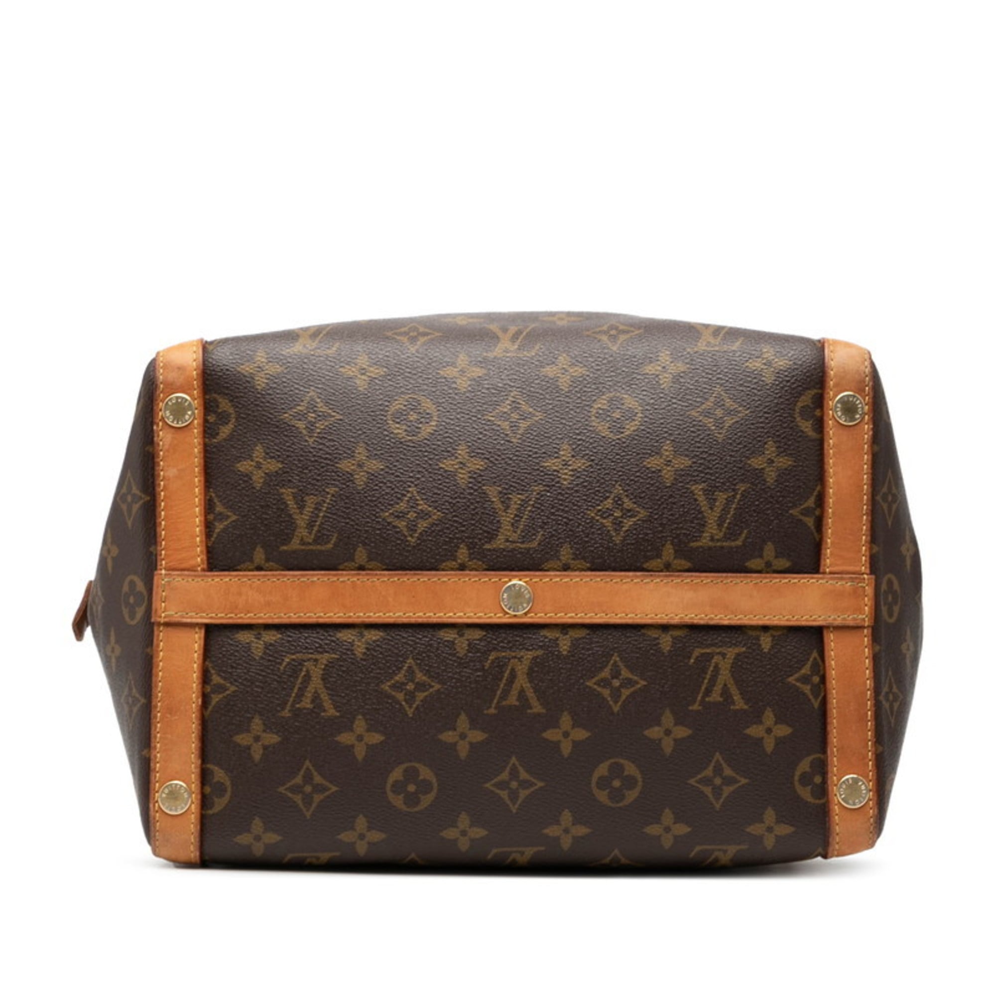 Louis Vuitton Brown Handbag