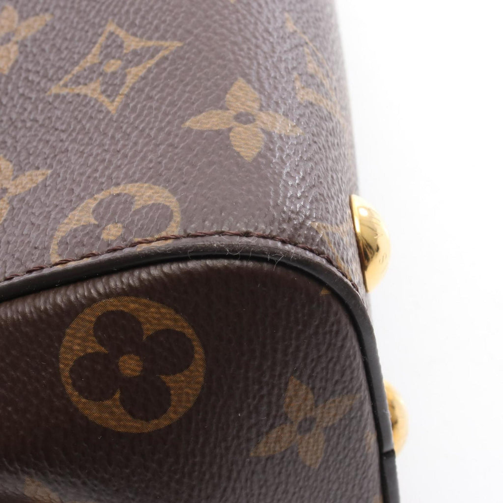 Louis Vuitton Brown Pvc Leather Handbag