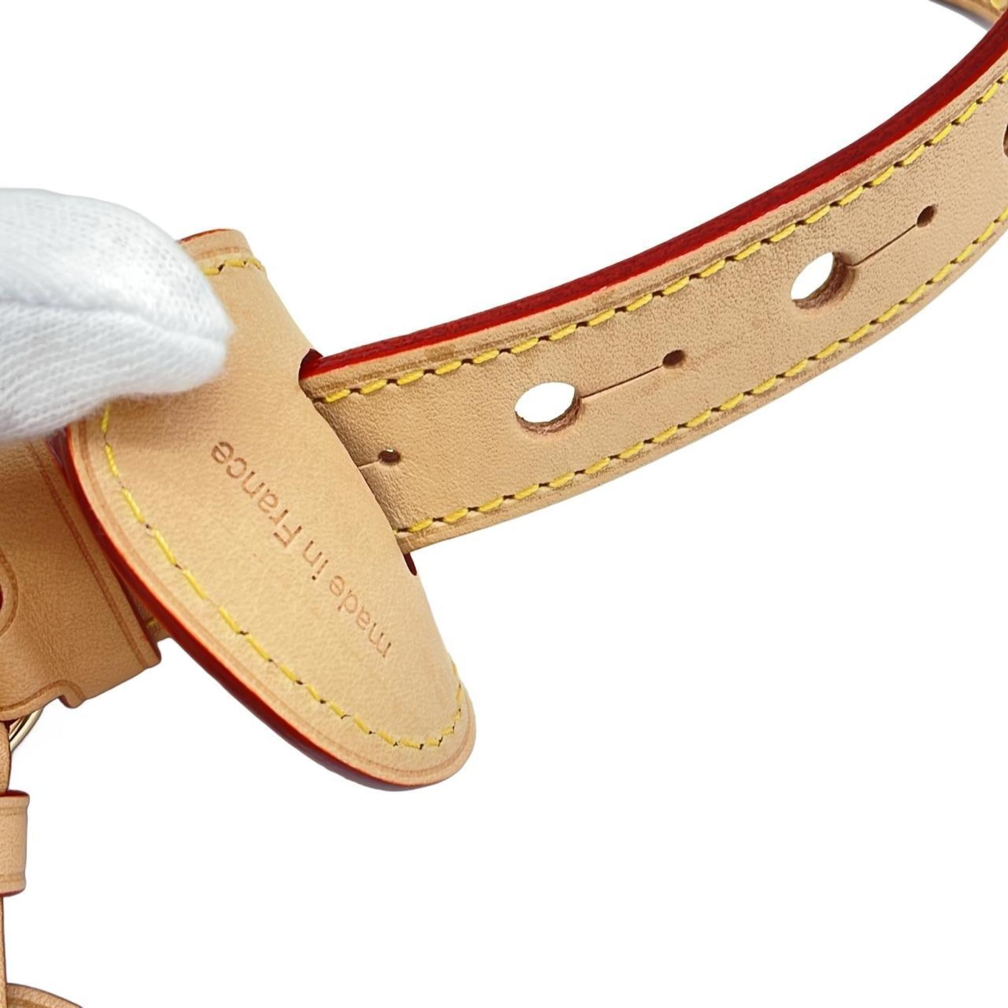 Louis Vuitton Dune Leather Handbag