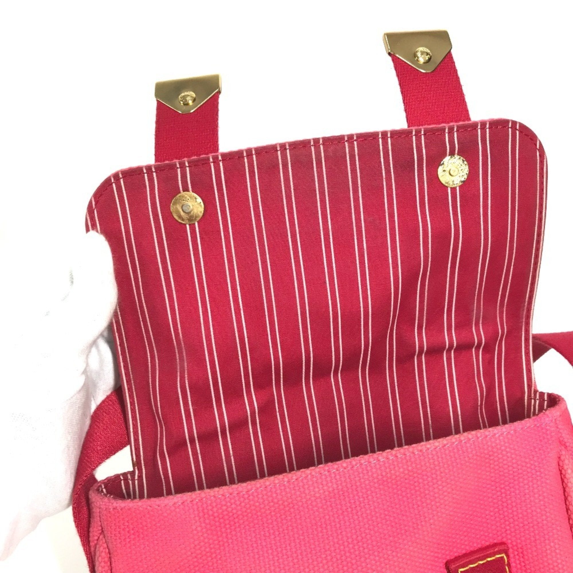 Louis Vuitton Pink Canvas Handbag Shoulder Bag
