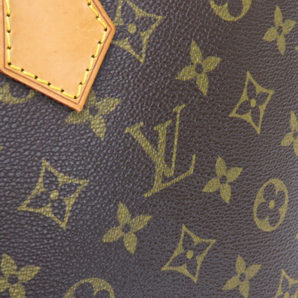 Louis Vuitton Brown Monogram Monogram Handbag