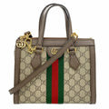 Gucci Brown Pvc Handbag (Pre-Owned)