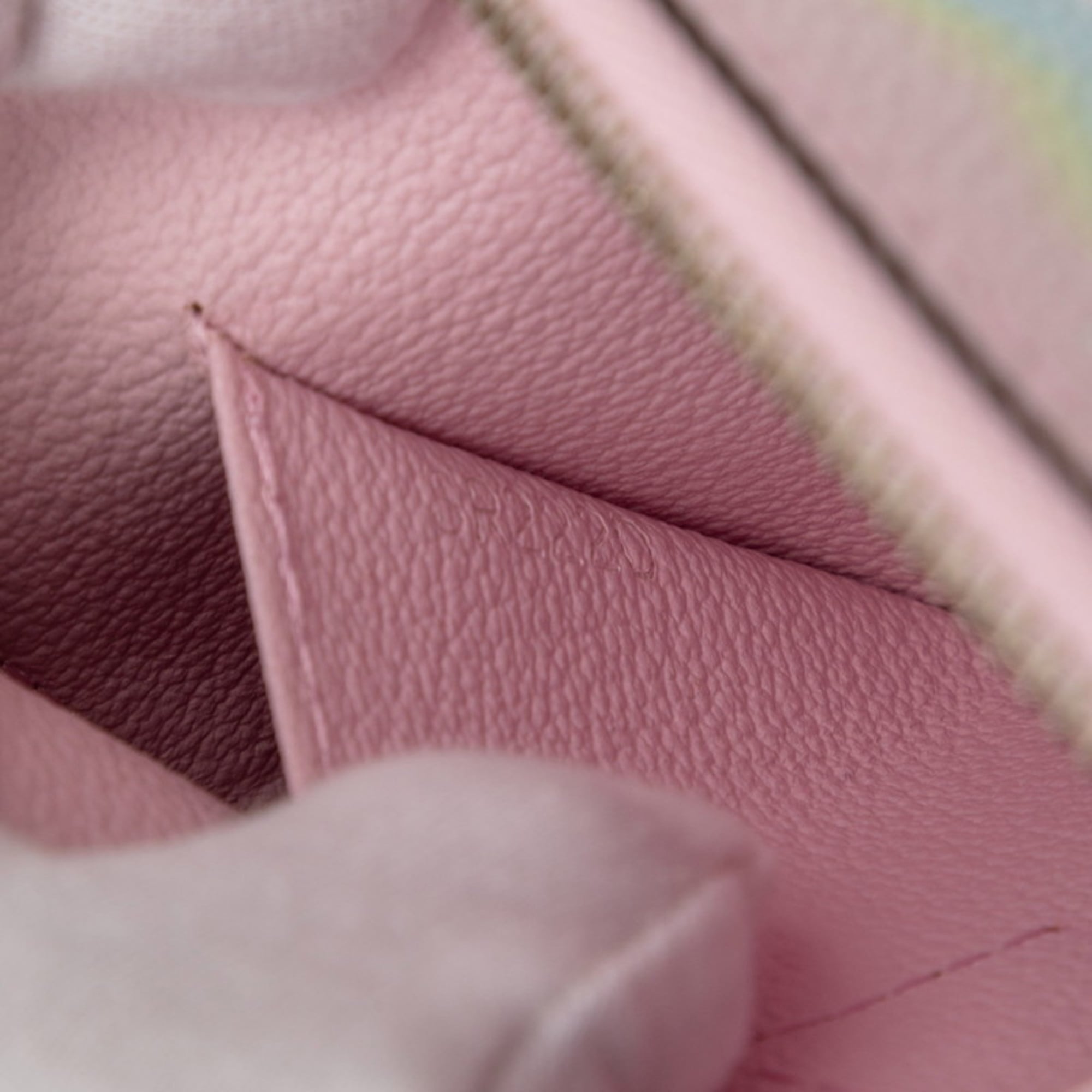 Louis Vuitton Multi-Color Pvc Leather Pouch