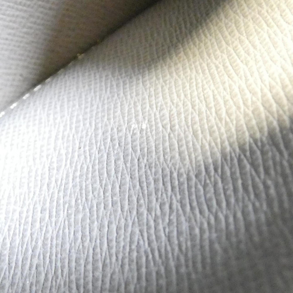 Louis Vuitton Glacier Leather Long Wallet