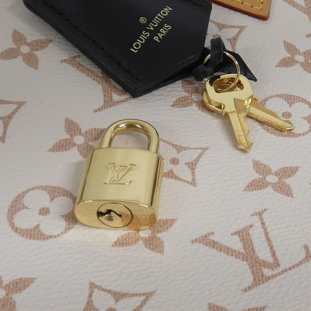 Louis Vuitton Dune Coated Canvas Handbag