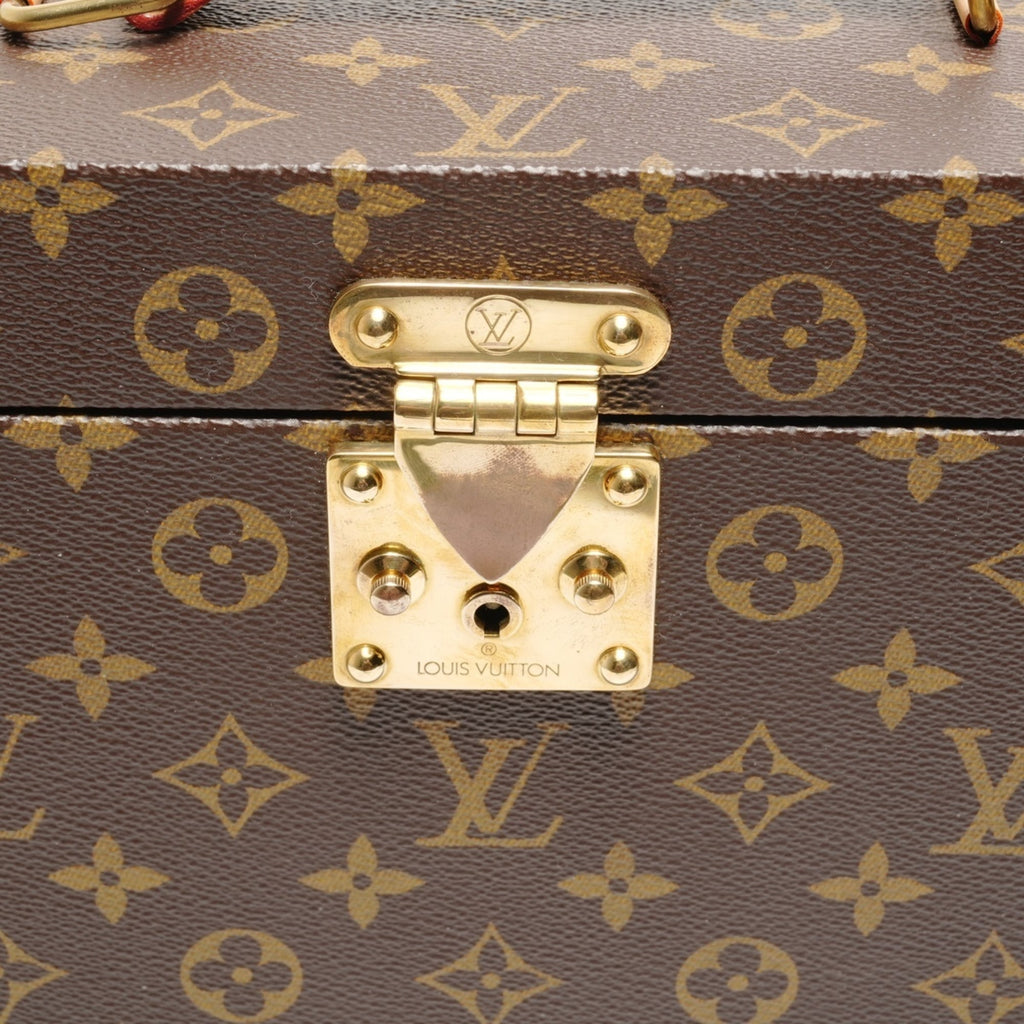Louis Vuitton Brown Handbag