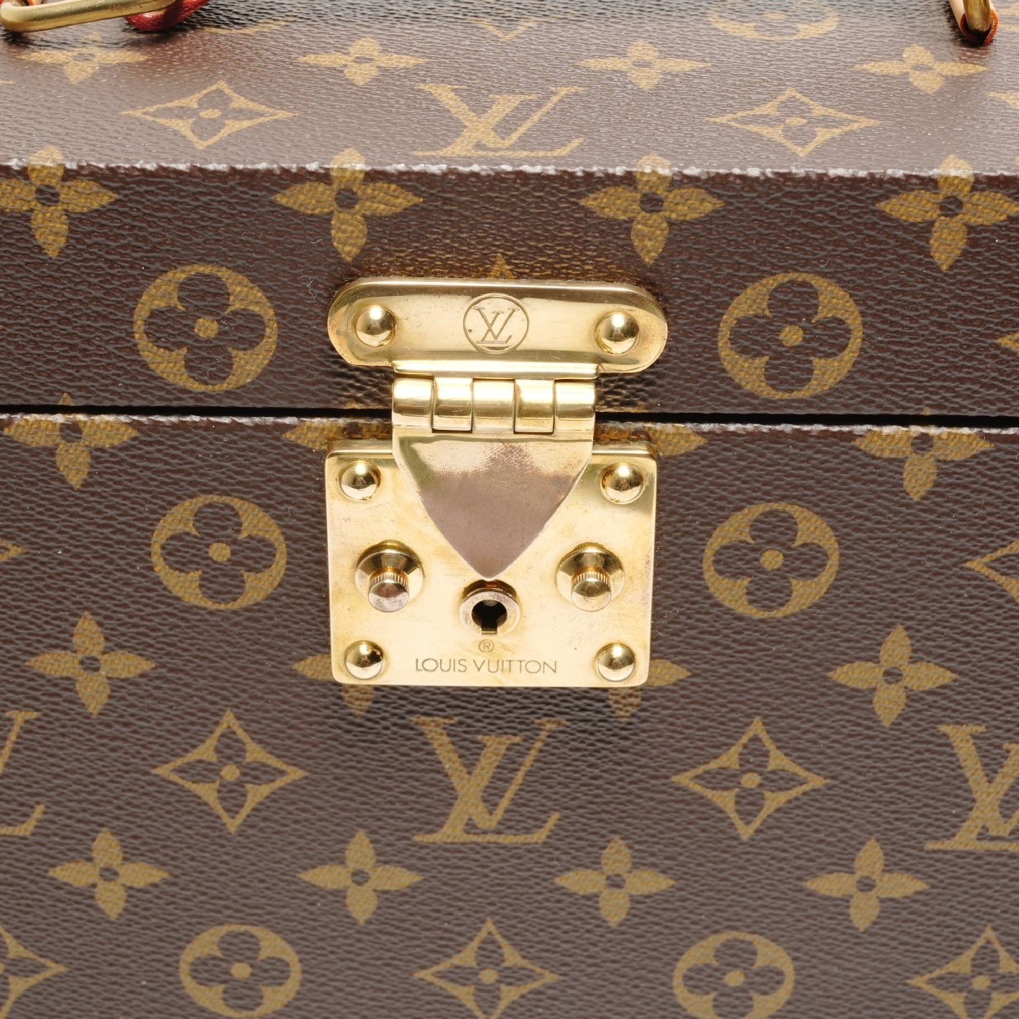 Louis Vuitton Brown Handbag