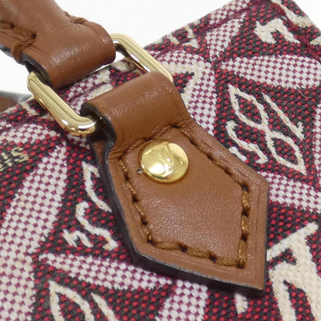 Louis Vuitton Bordeaux Jacquard Handbag