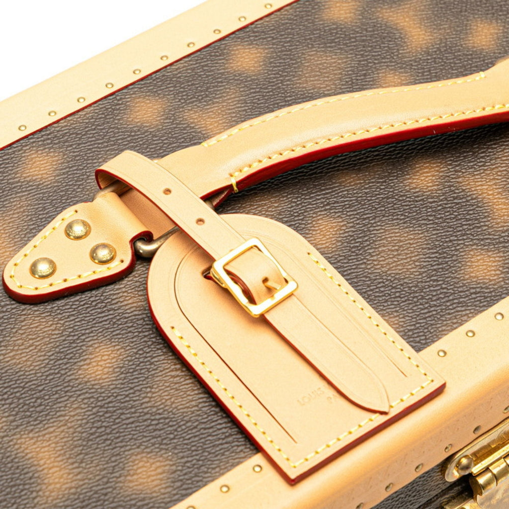 Louis Vuitton Brown Pvc Leather Handbag