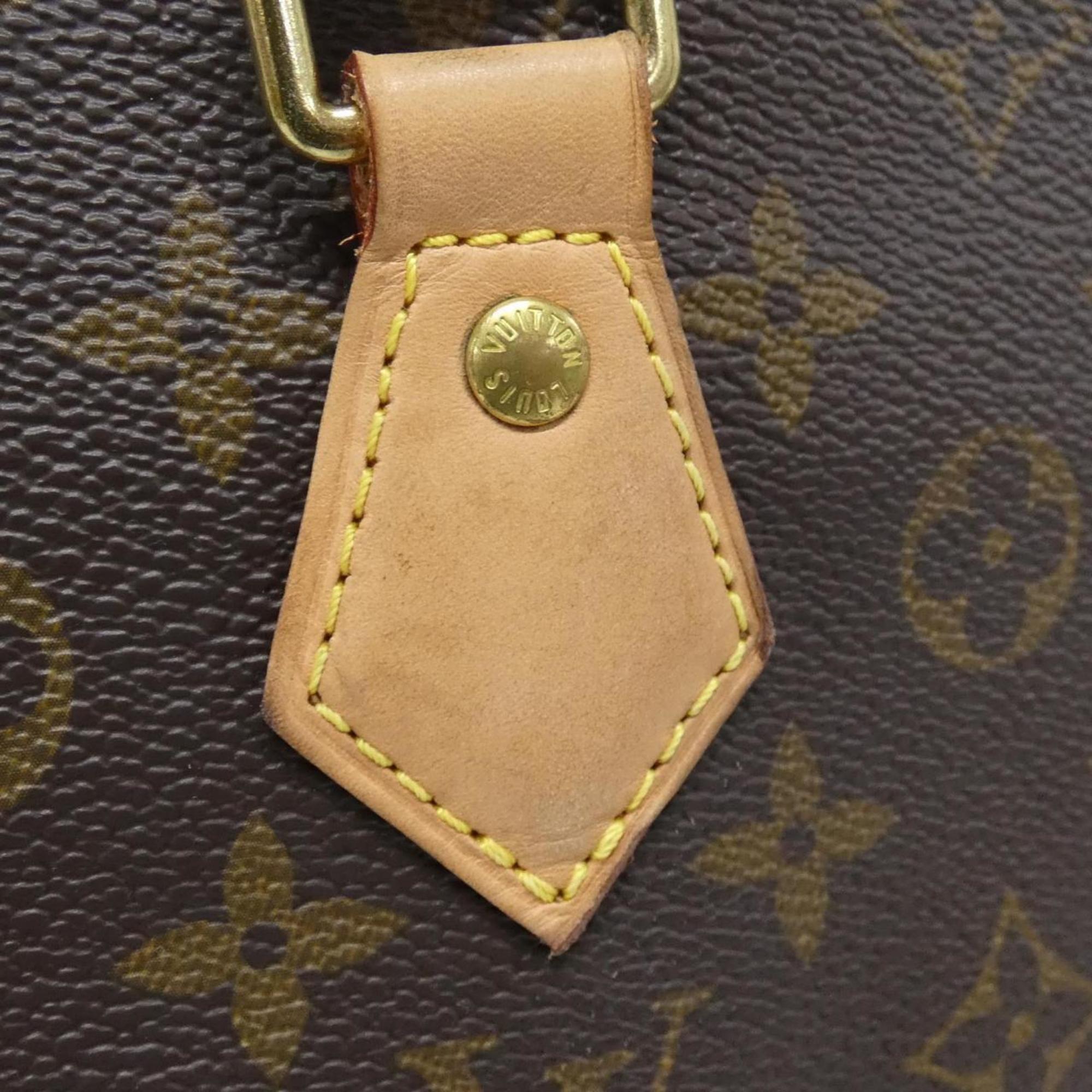 Louis Vuitton Marron Coated Canvas Handbag