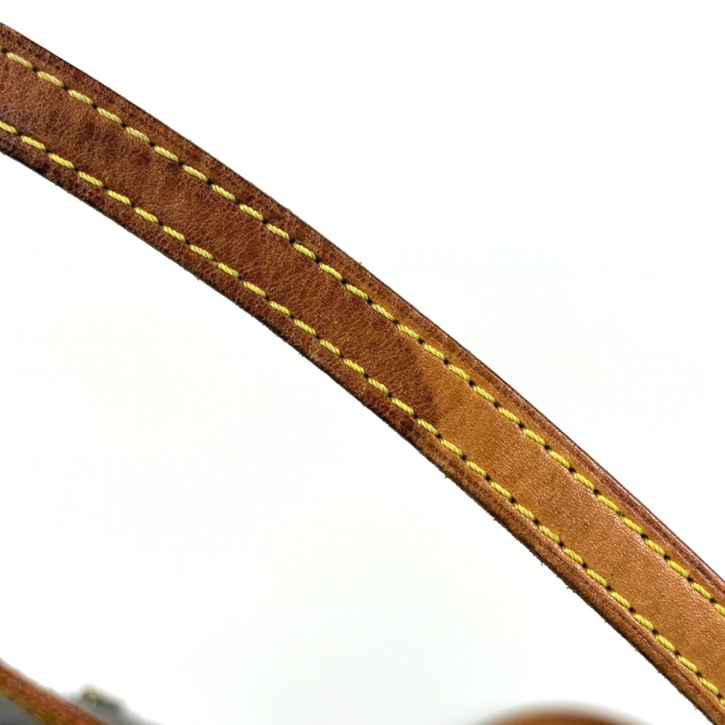 Louis Vuitton Brown Monogram Handbag