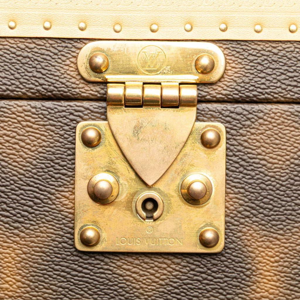 Louis Vuitton Brown Pvc Leather Handbag