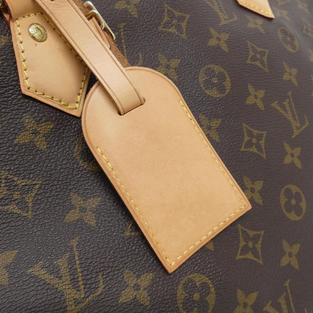 Louis Vuitton Marron Coated Canvas Handbag