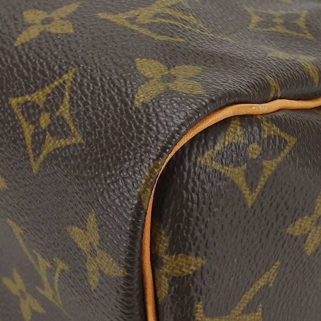 Louis Vuitton Monogram Brown Handbag