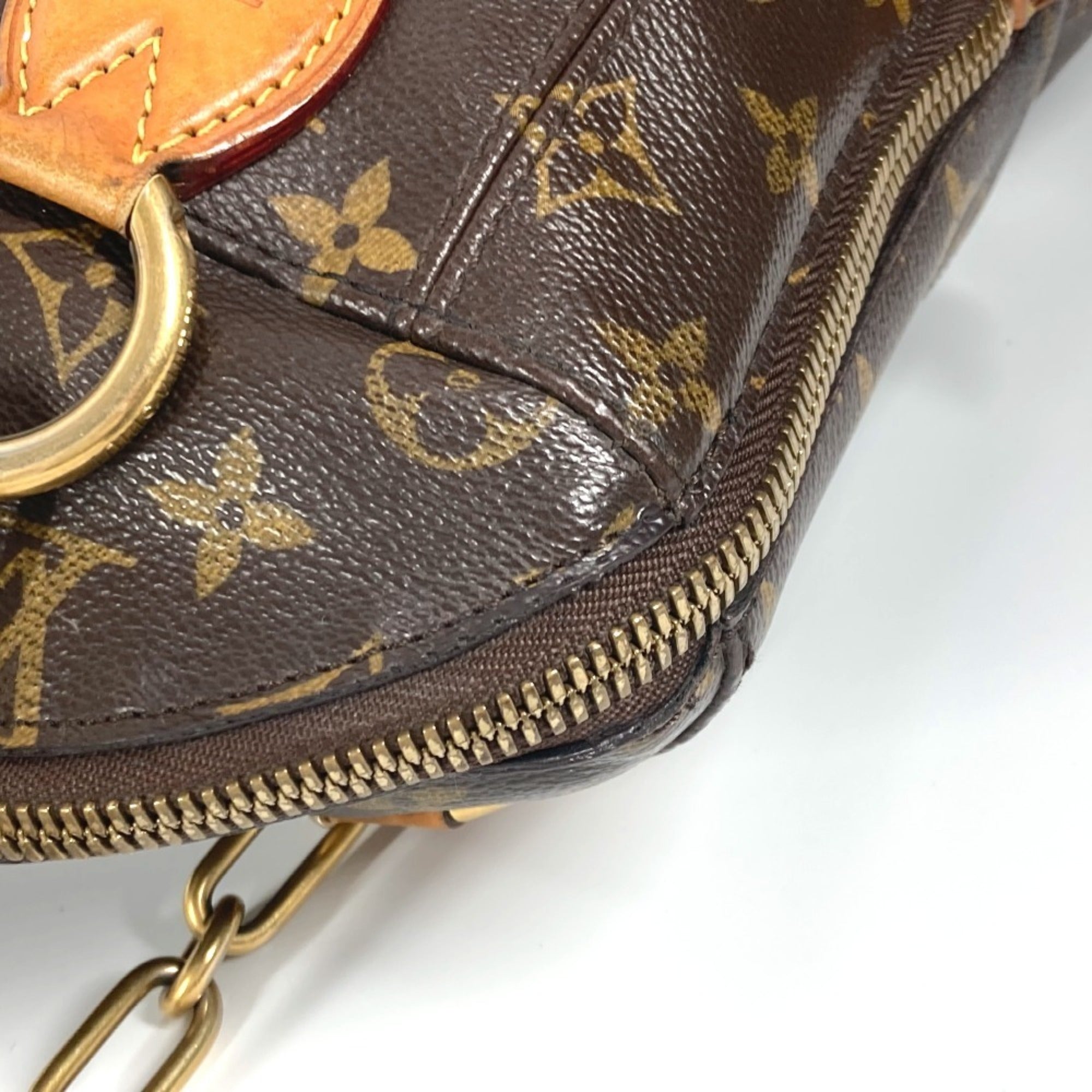 Louis Vuitton Monogram Brown Monogram Shoulder Bag