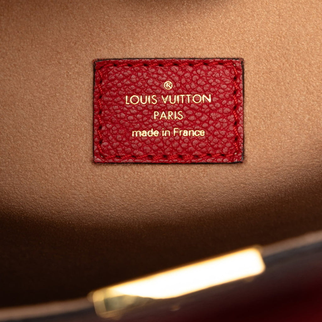 Louis Vuitton Brown Red Color Pvc Leather Handbag Tote Bag