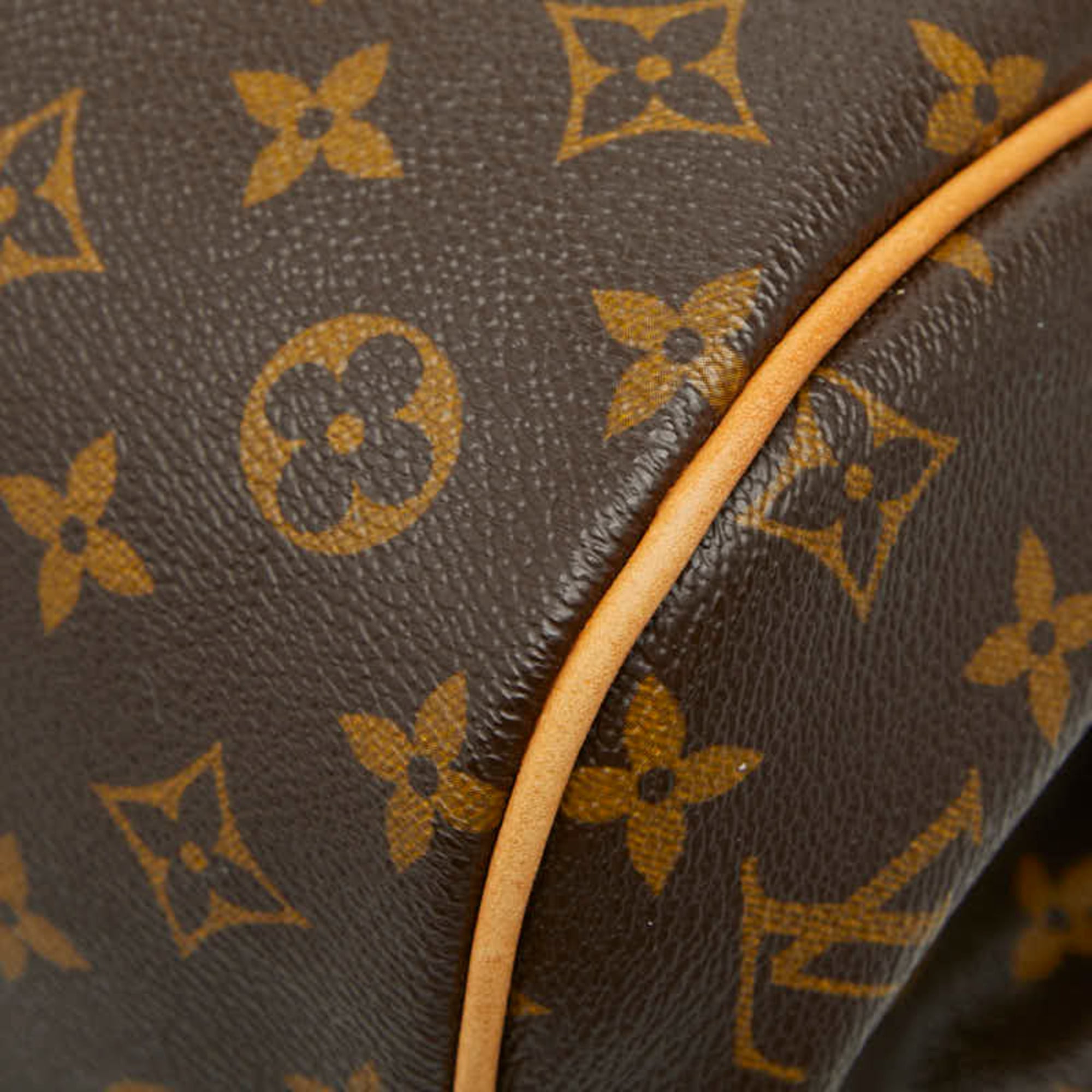 Louis Vuitton Brown Pvc Leather Handbag Tote Bag