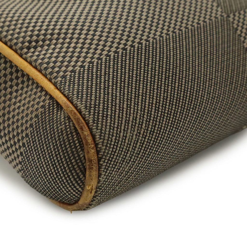 Louis Vuitton Damier Geant Earth Damier Geant Sling Bag